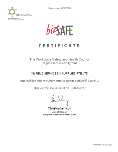 OSS BIZsafe.img